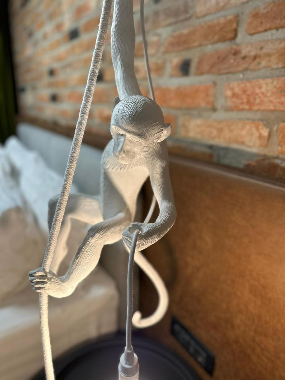 Nani Nani Boutique Hotel Brasov Bagian luar foto