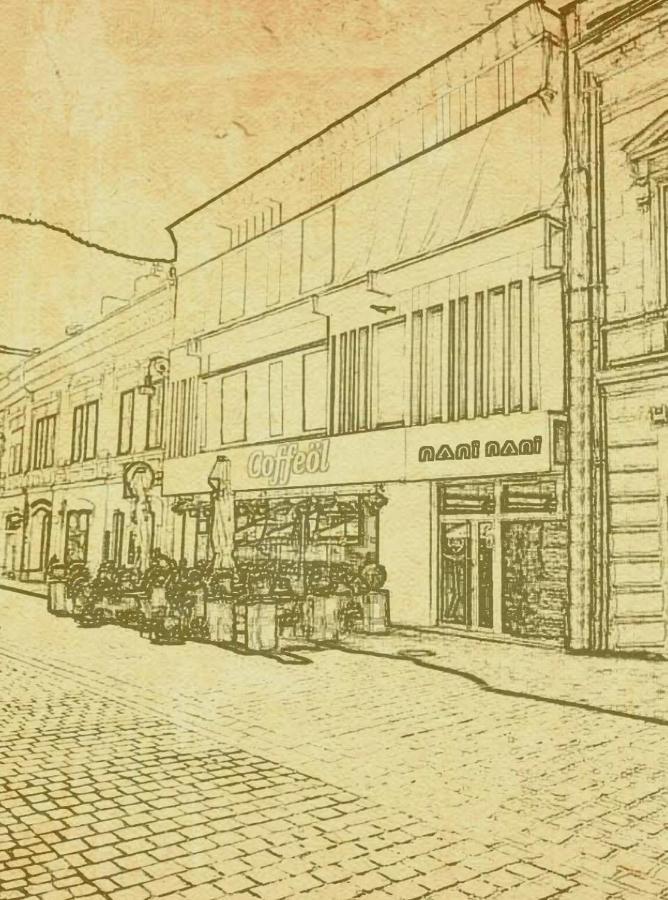 Nani Nani Boutique Hotel Brasov Bagian luar foto